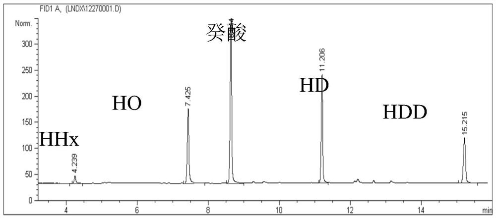 Method for producing PHA (polyhydroxyalkanoate) by using pseudomonas corrugata type II synthase