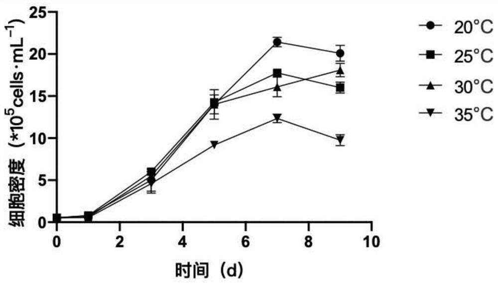 Culture method for improving high-temperature tolerance of bait algae isochrysis zhanjiangensis