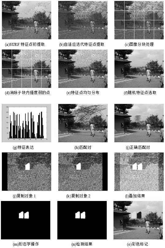 Digital image tampering detection method based on adaptive feature points