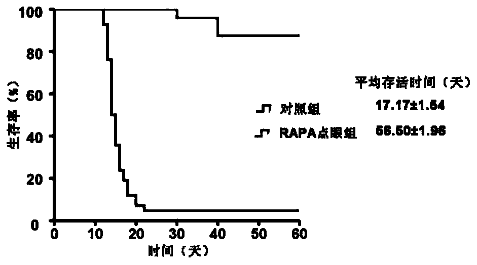 A kind of rapamycin nano micellar eye drops and preparation method thereof