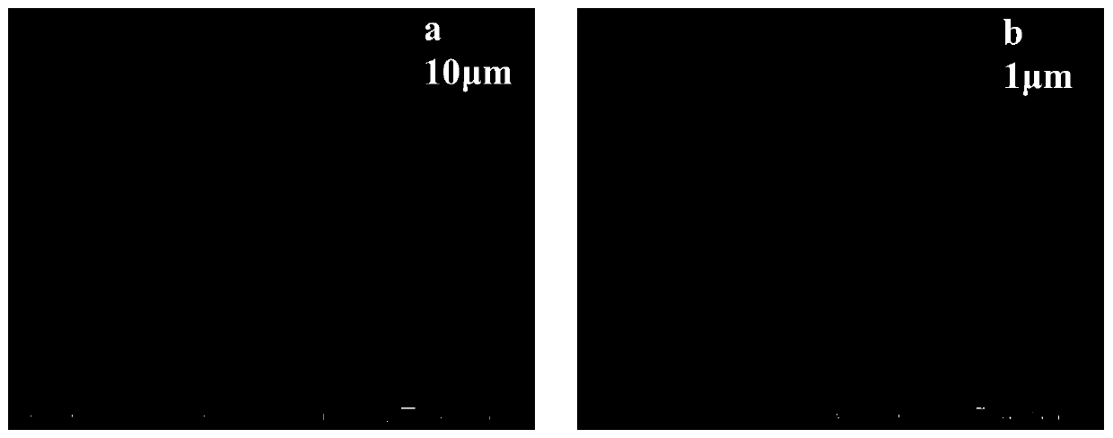 Carbon-coated foamed aluminium compound and preparation method thereof, current collector and filtering material