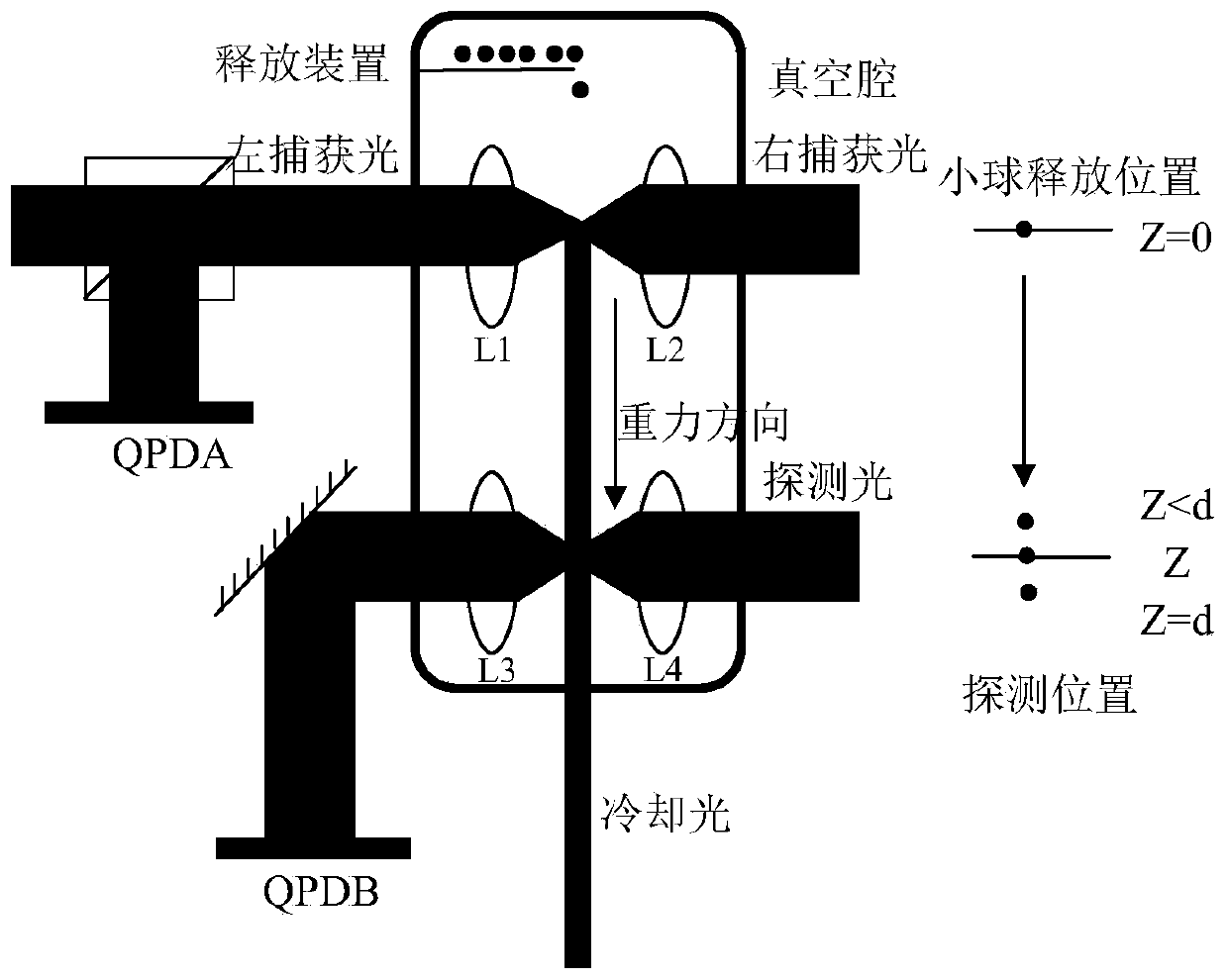 A miniaturized high-precision optical gravimeter with optical cooling