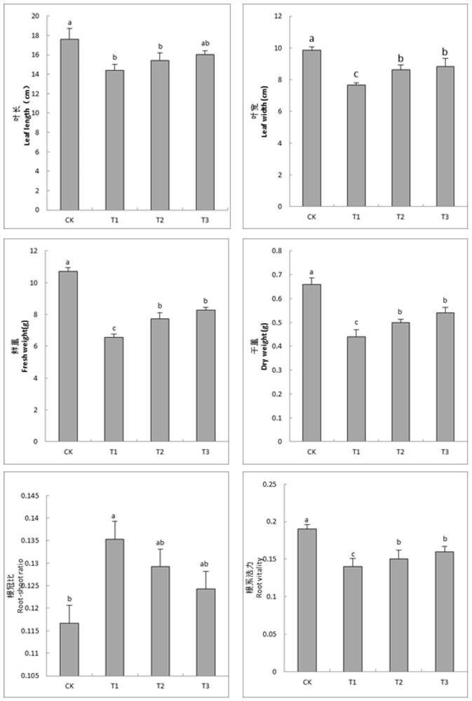 Application of Selenium in the Preparation of Preparations for Improving Tobacco's Drought Resistance