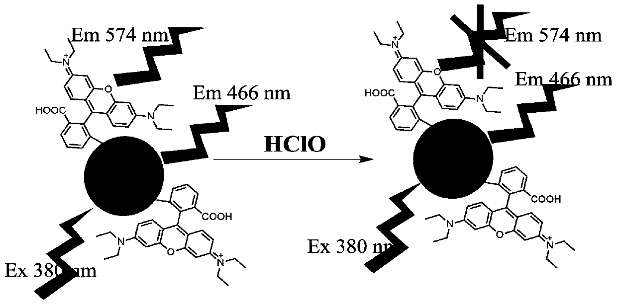 Preparation and application of a polymer nanoparticle capable of ratiometric fluorescence detection of hypochlorous acid