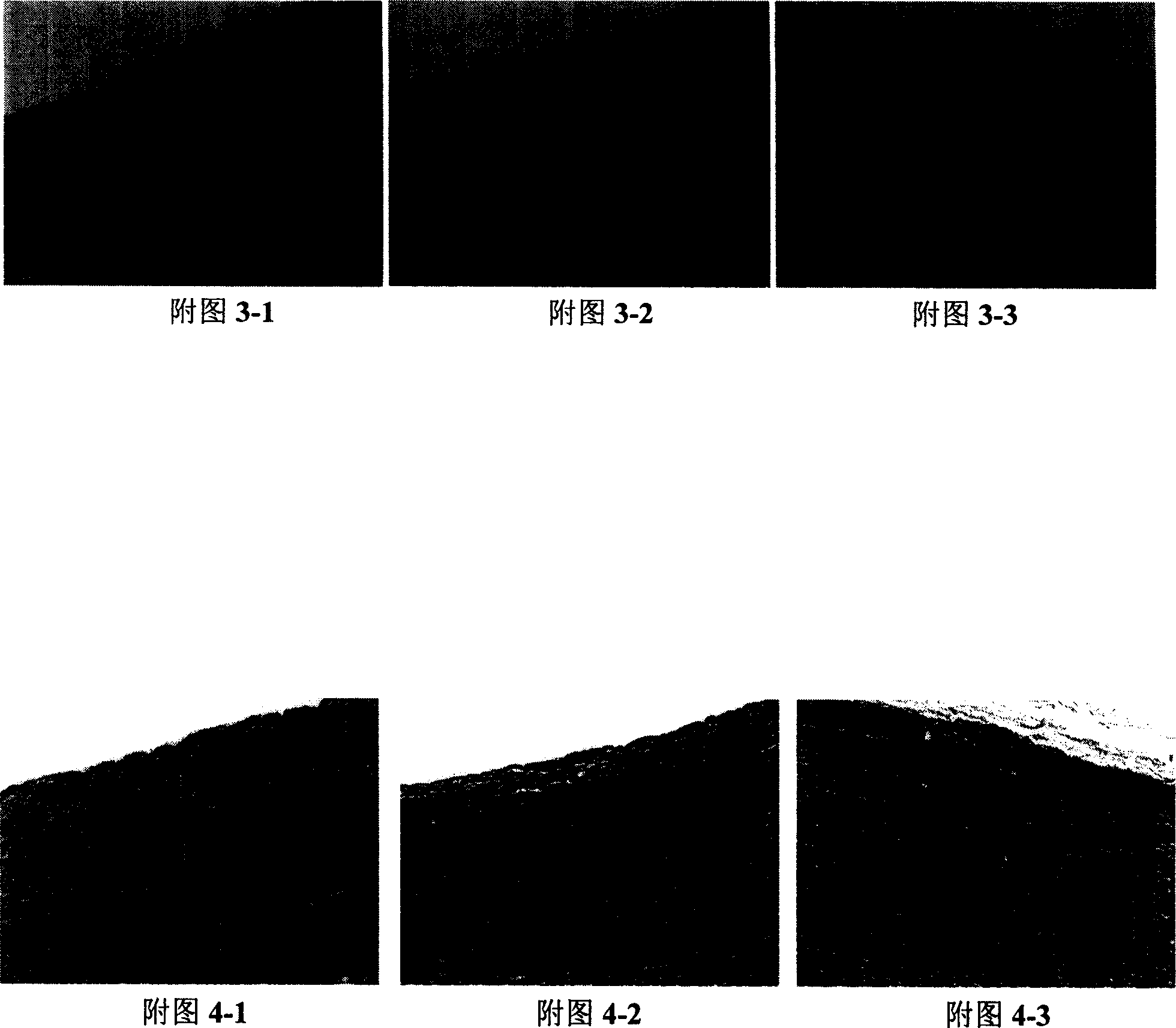 Biological tissue material for artificial esophagus and preparation method thereof