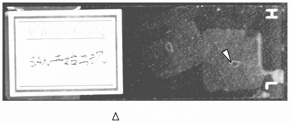 Precise positioning and material taking method of adult rat atrionector