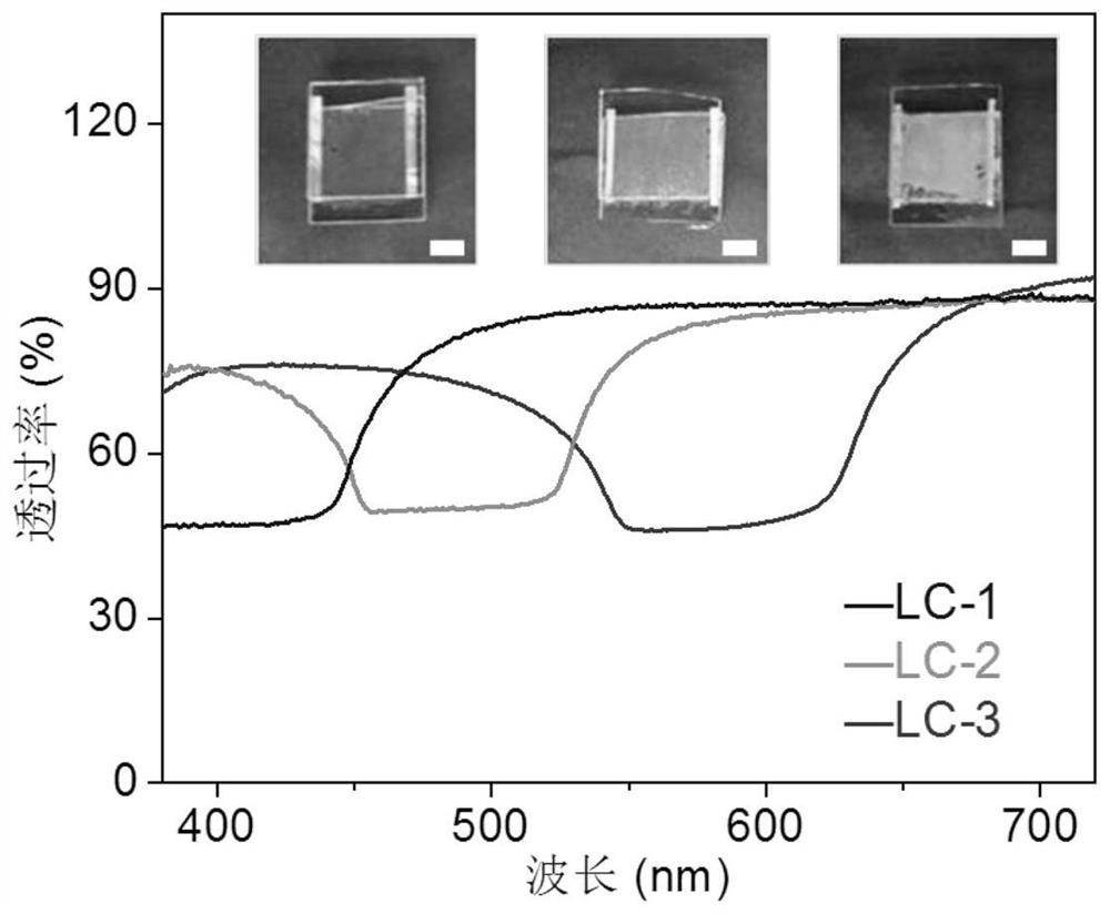 A liquid crystal laser display panel and its construction method
