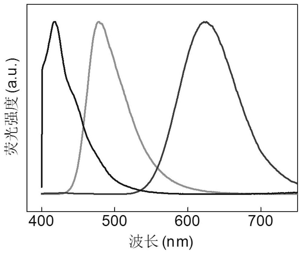 A liquid crystal laser display panel and its construction method