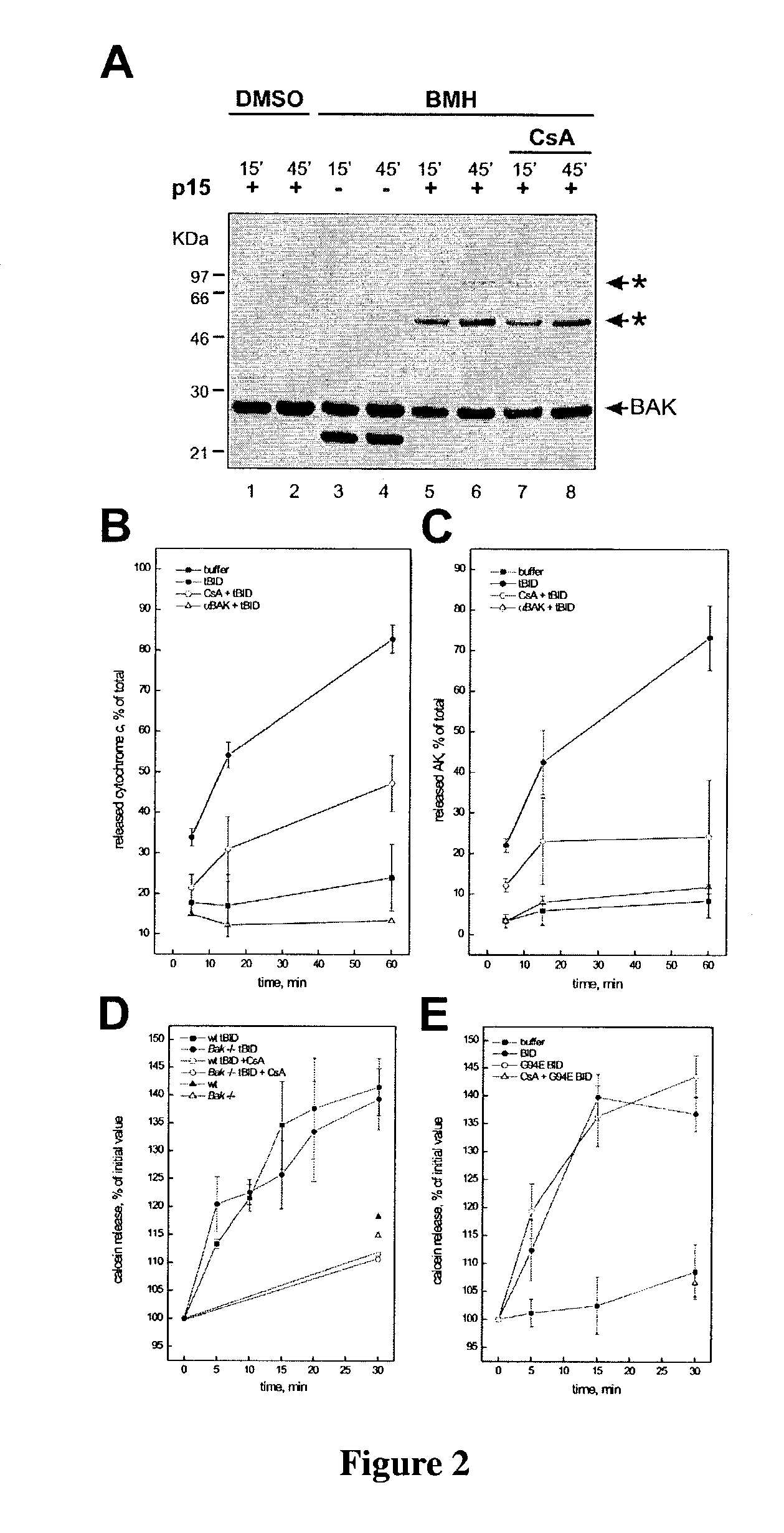 BID polypeptides and methods of inducing apoptosis
