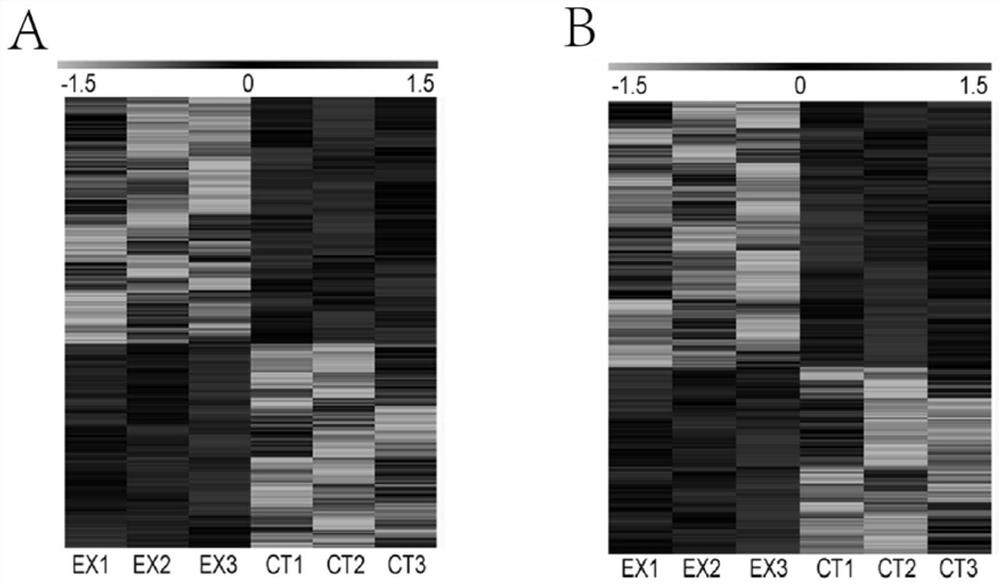 Application of lncrna11496 in the diagnosis and treatment of toxoplasmosis