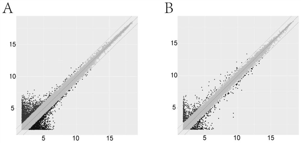 Application of lncrna11496 in the diagnosis and treatment of toxoplasmosis