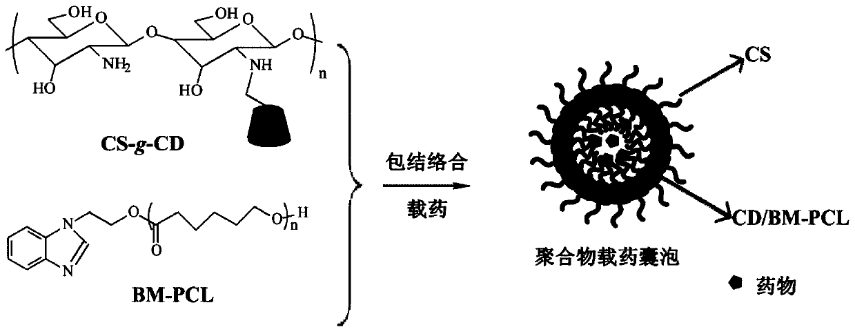 A kind of preparation method of cyclodextrin polymer drug-loaded vesicle