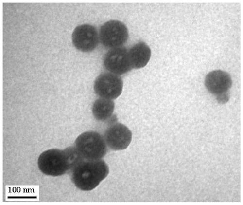 A kind of preparation method of cyclodextrin polymer drug-loaded vesicle