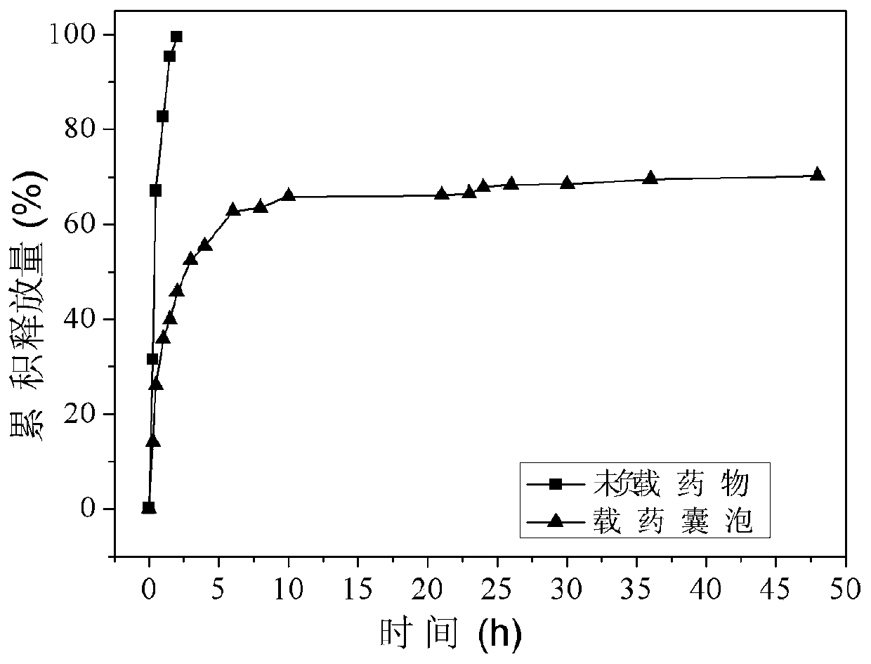 A kind of preparation method of cyclodextrin polymer drug-loaded vesicle