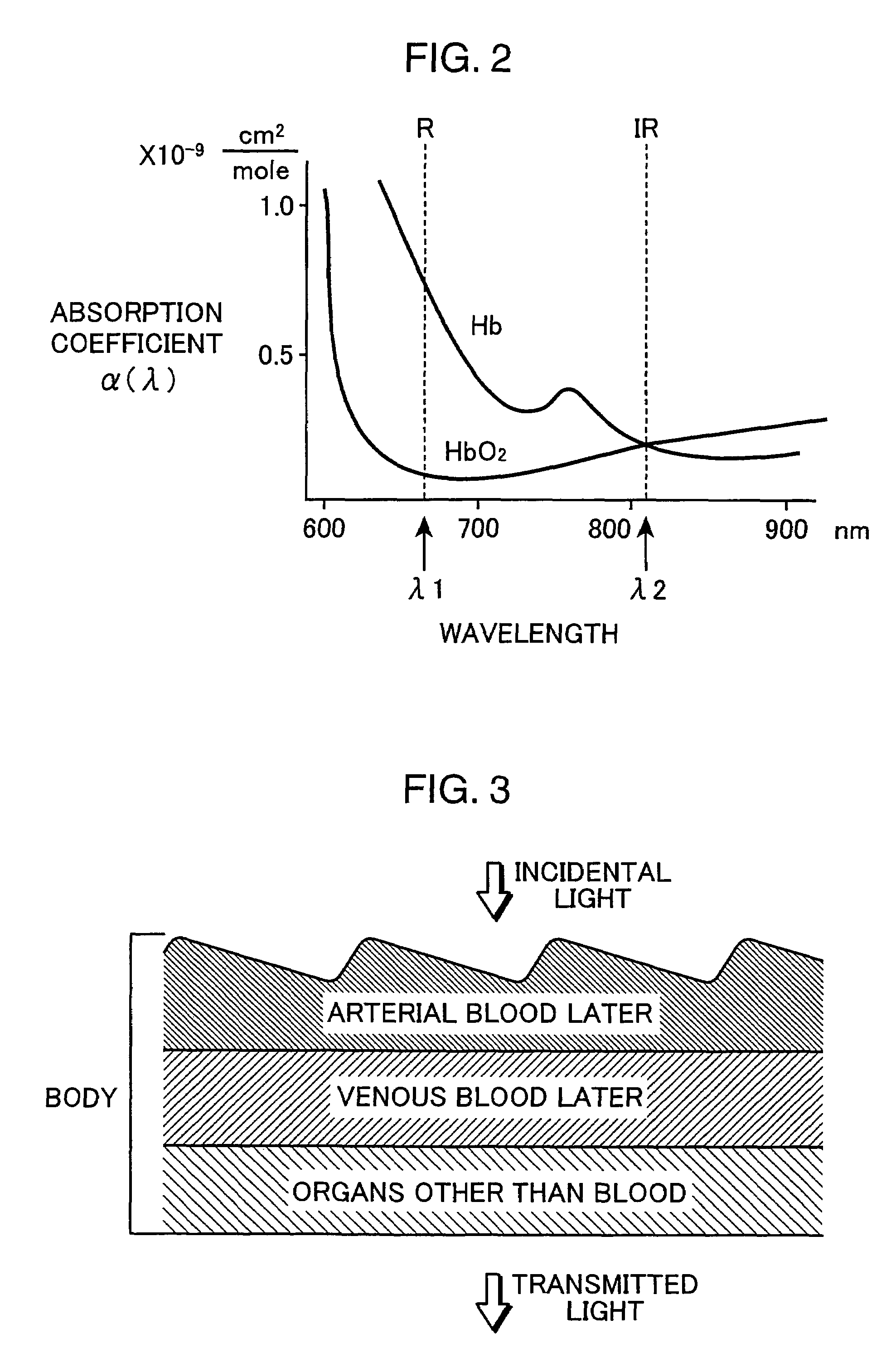 Biological information processing apparatus and operation program product for the same