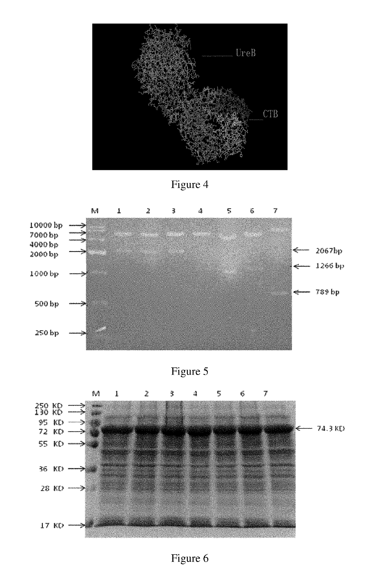 Antigen chimera, antigen composition, vaccine, method of preparing the same and cassette thereof