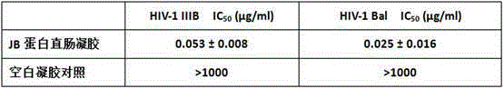 Anti-HIV JB protein rectum gel preparation and preparation method thereof