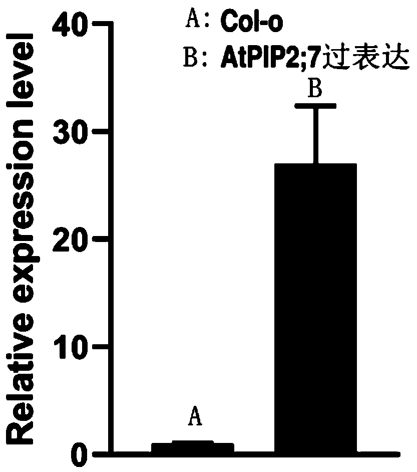 Gene AtPIP2;7 capable of improving plant disease resistance and application thereof