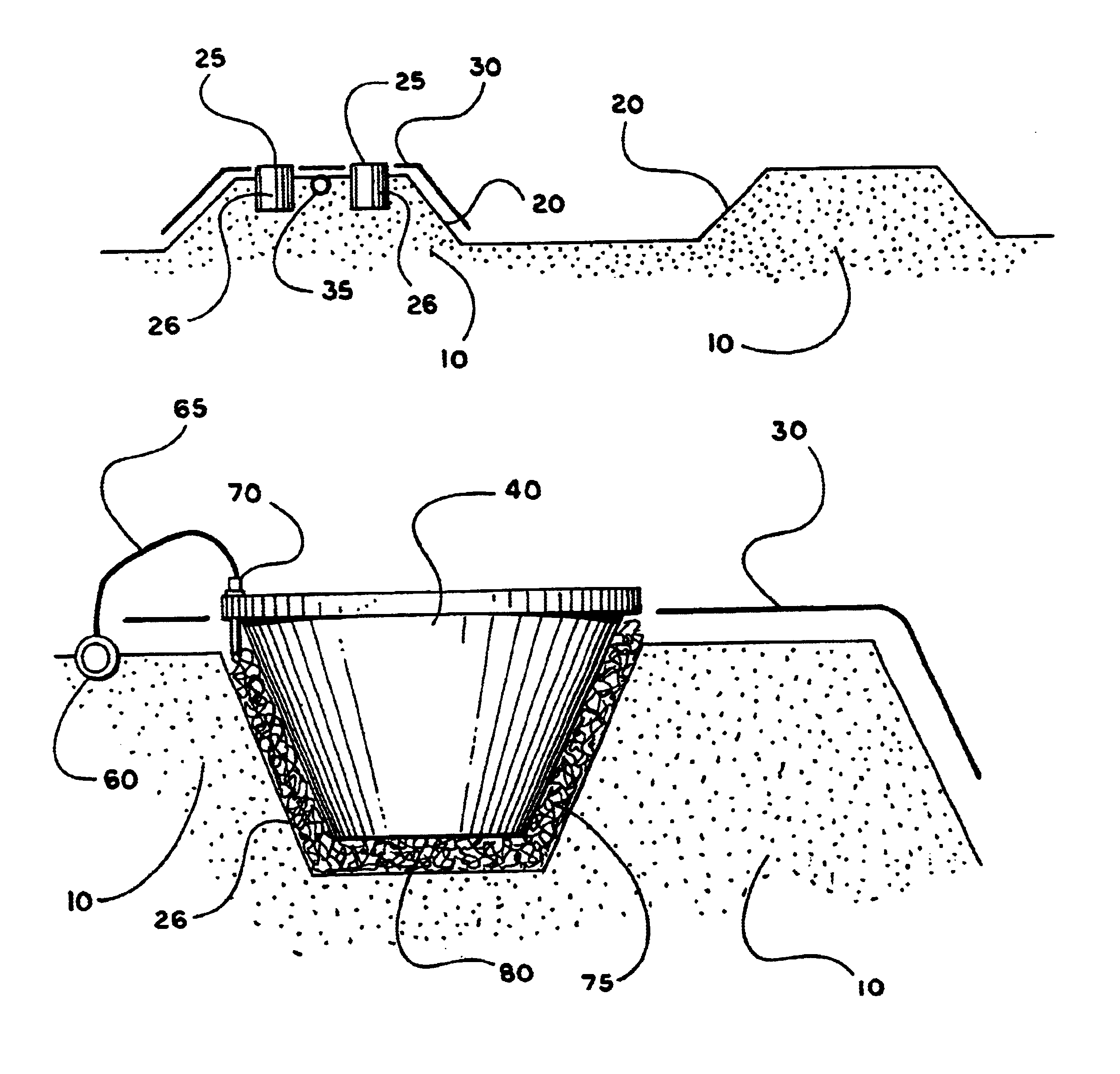 System, method and apparatus for container plant production