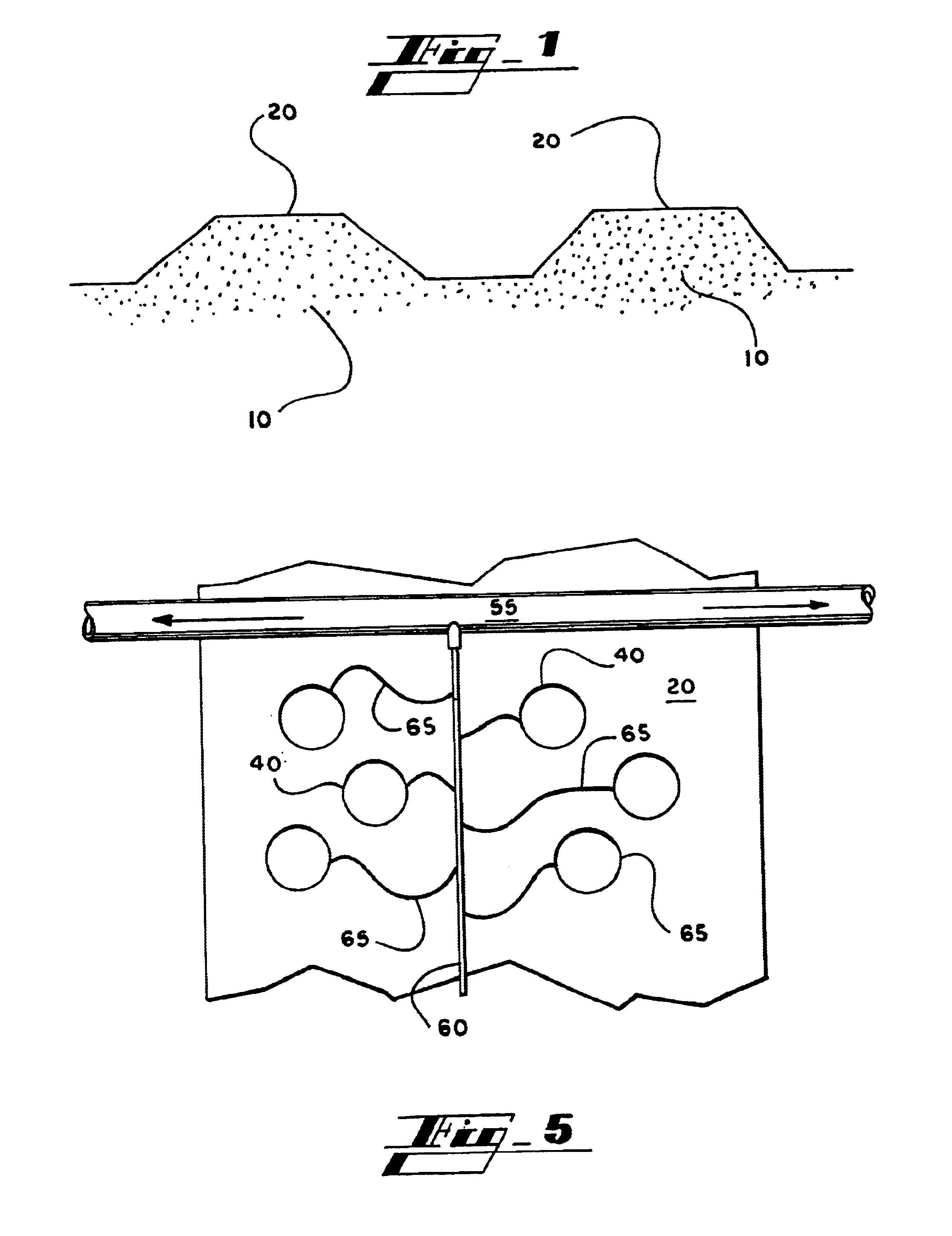 System, method and apparatus for container plant production