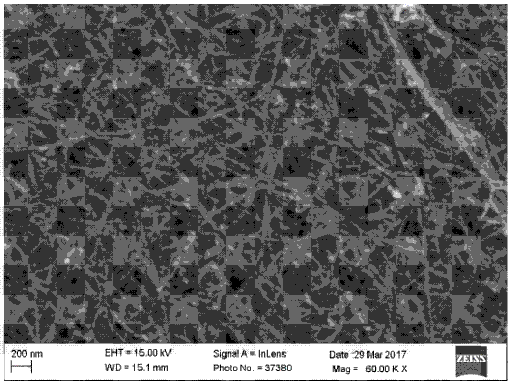 Silicon-carbon composite material, preparation method and application as well as lithium ion battery negative electrode material