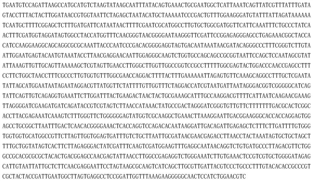 Bariae fabreidii, microbial preparations containing it and applications thereof