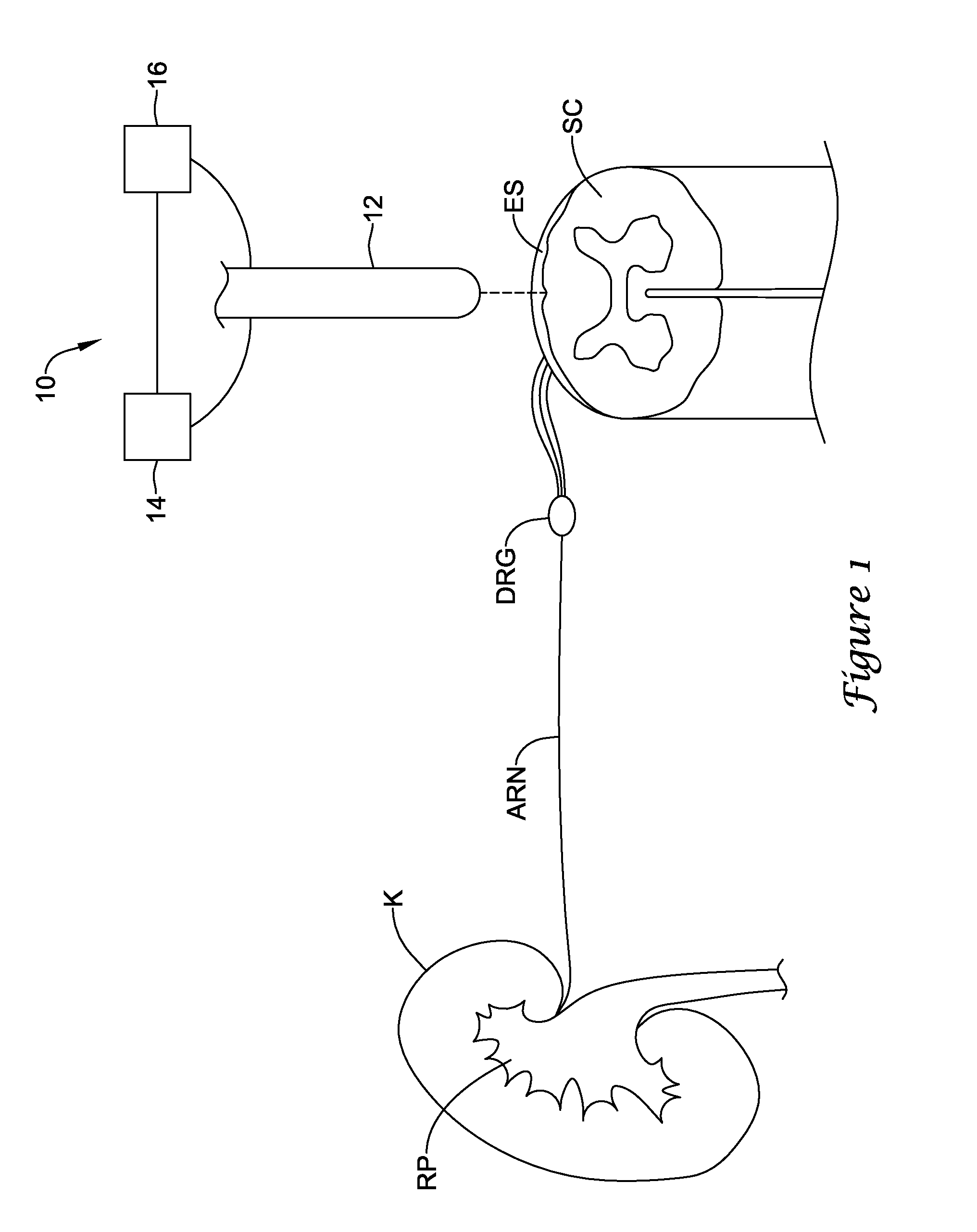 Methods for modulating cell function