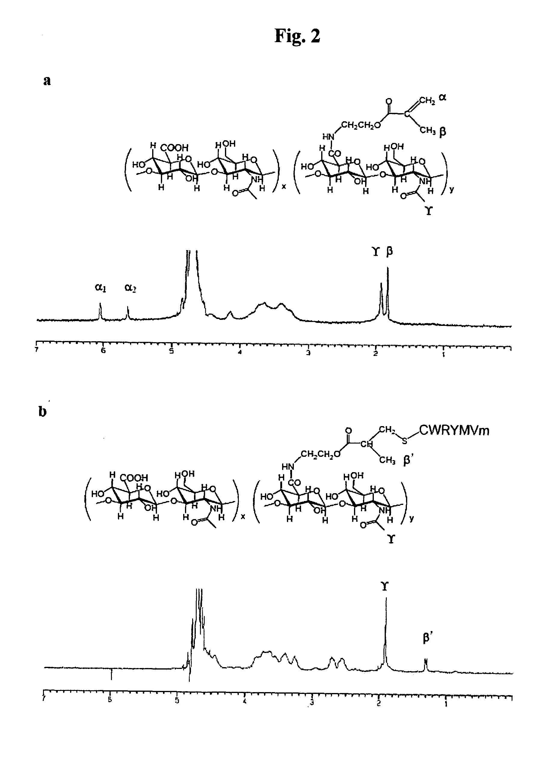 Long acting hyaluronic acid - peptide conjugate