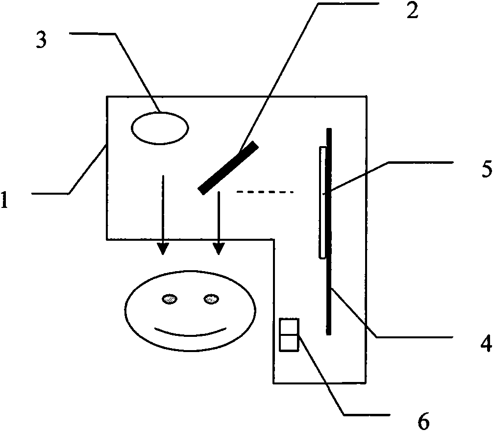 Demonstration device for generating Cheshire cat optical illusion and demonstration method