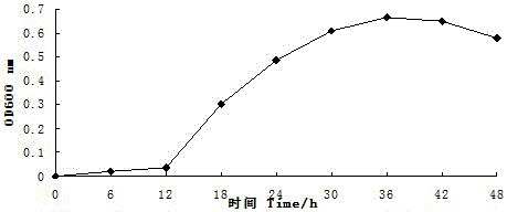 A method of improving the drought resistance of tall fescue by using air-dried sludge inoculant