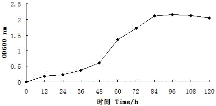 A method of improving the drought resistance of tall fescue by using air-dried sludge inoculant