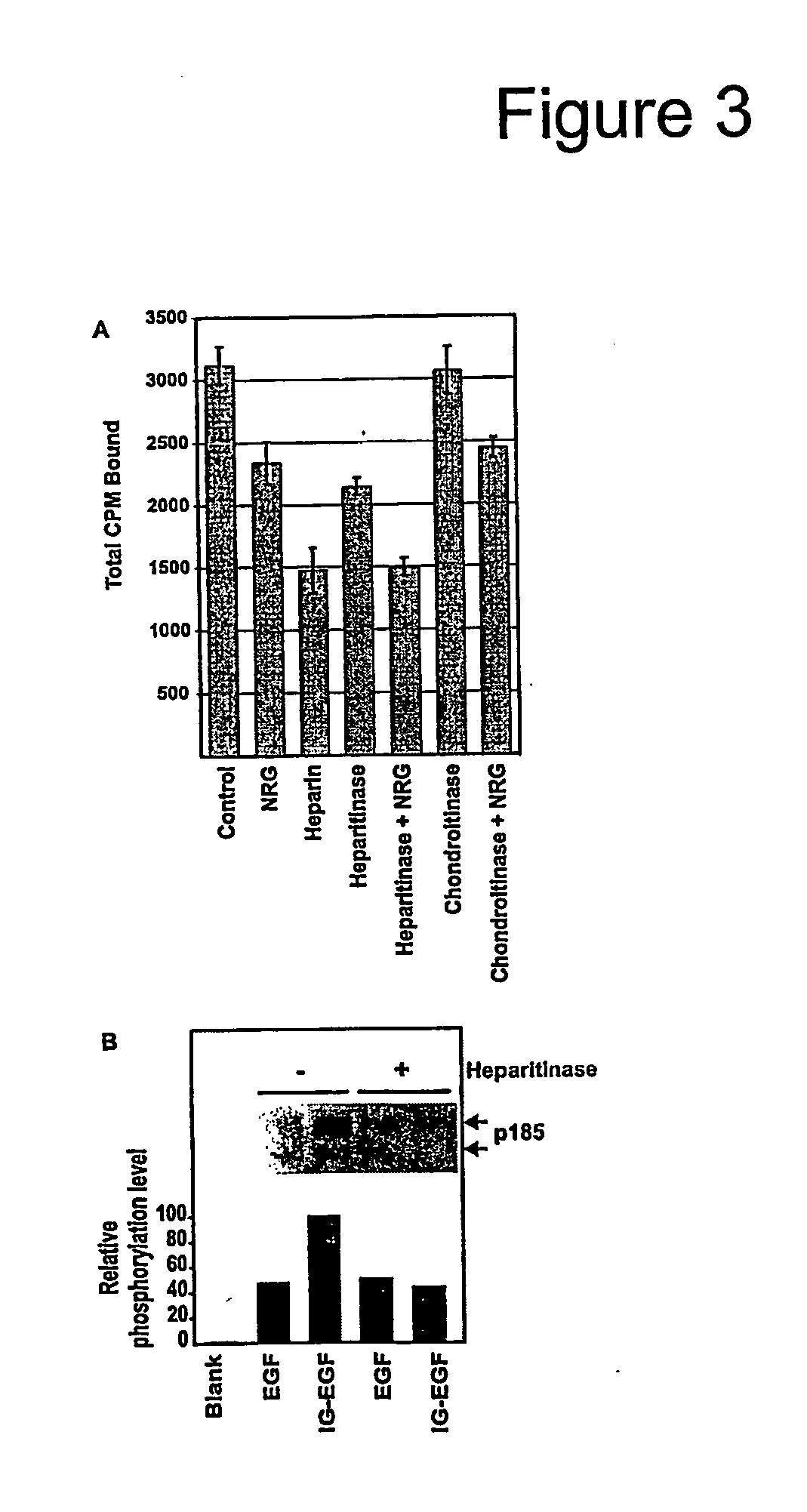 Hybrid proteins with neuregulin heparin-binding domain for targeting to heparan sulfate proteoglycans