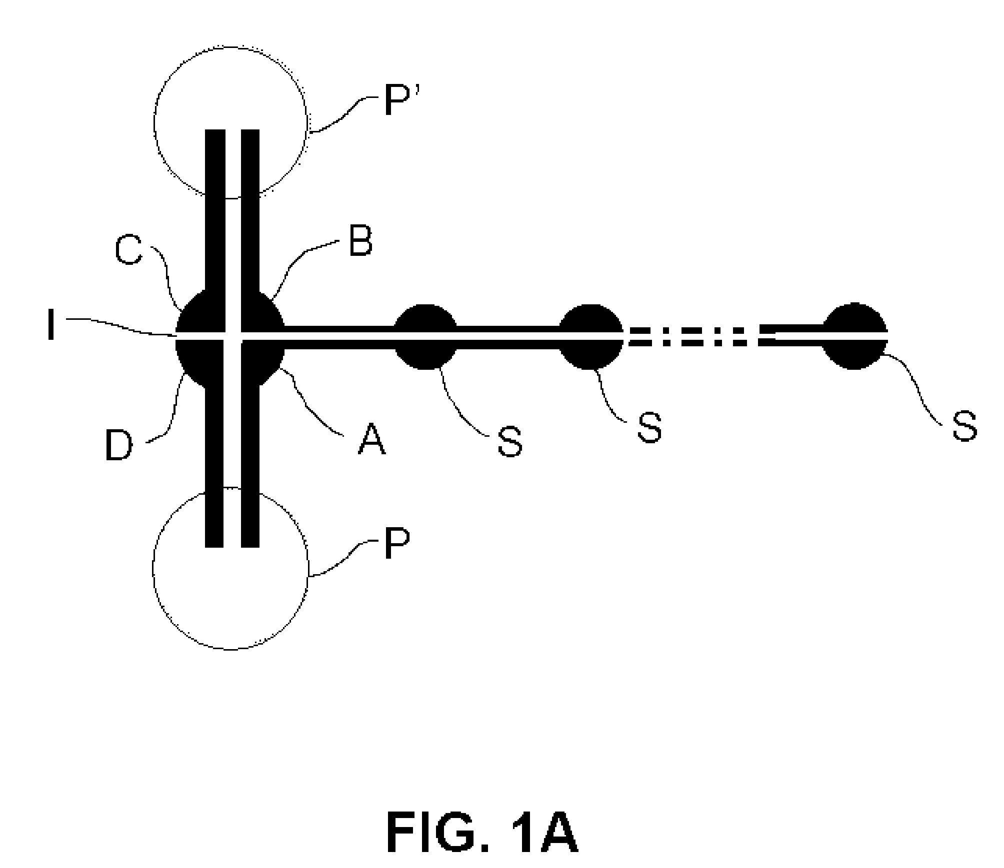 Integrated microfluidic transport and sorting system