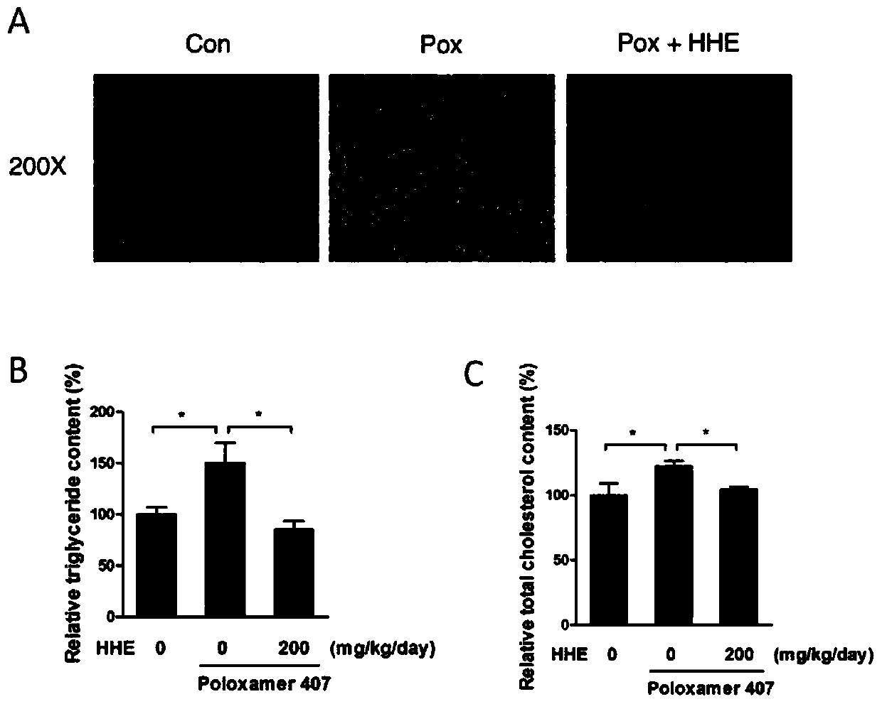 Application of cordate houttuynia extract as adenylate-activated protein kinase activator in preparing medicine for improving metabolic syndrome
