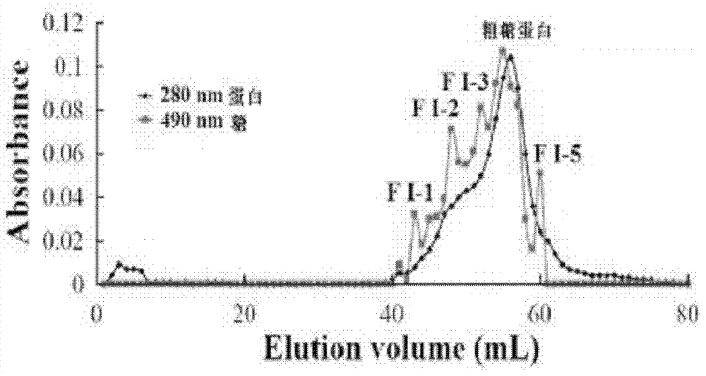Shark glycoprotein, and preparation method and application thereof