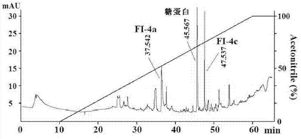 Shark glycoprotein, and preparation method and application thereof