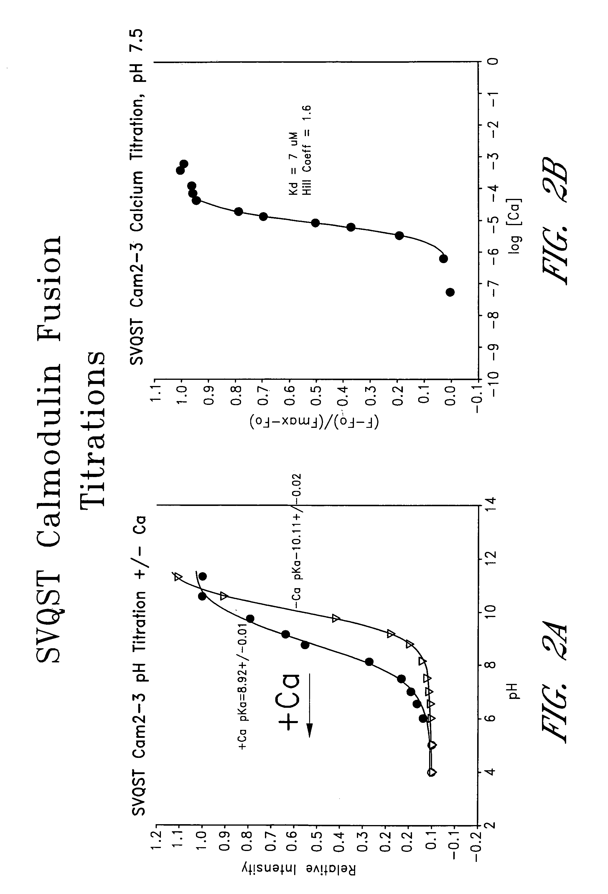 Circularly permuted fluorescent protein indicators