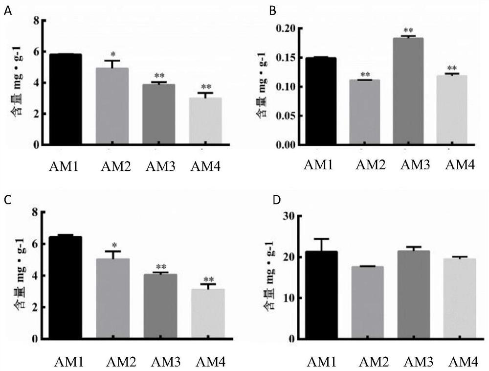 Armillaria Armillaria Xiaocaoba No.1 and Its Application in Cultivation of Gastrodia elata