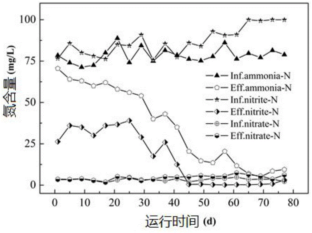 Method for quickly starting efficient anaerobic ammonia oxidation reactor without deoxygenization