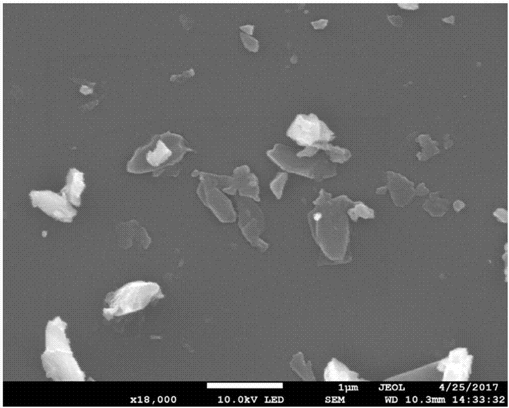 Dasatinib nanopreparation and preparation method thereof
