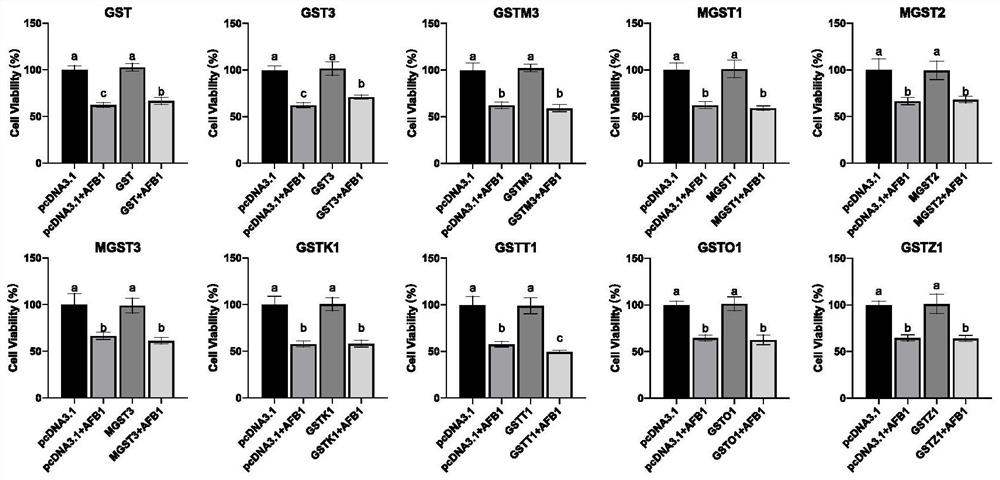 Application of glutathione mercaptotransferase as detoxifying enzyme for preventing and treating duck liver injury caused by AFB1