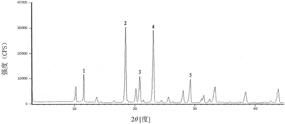 Cefradine compound prepared by adopting high-flux medicine crystal form rapid screening technology and preparation thereof