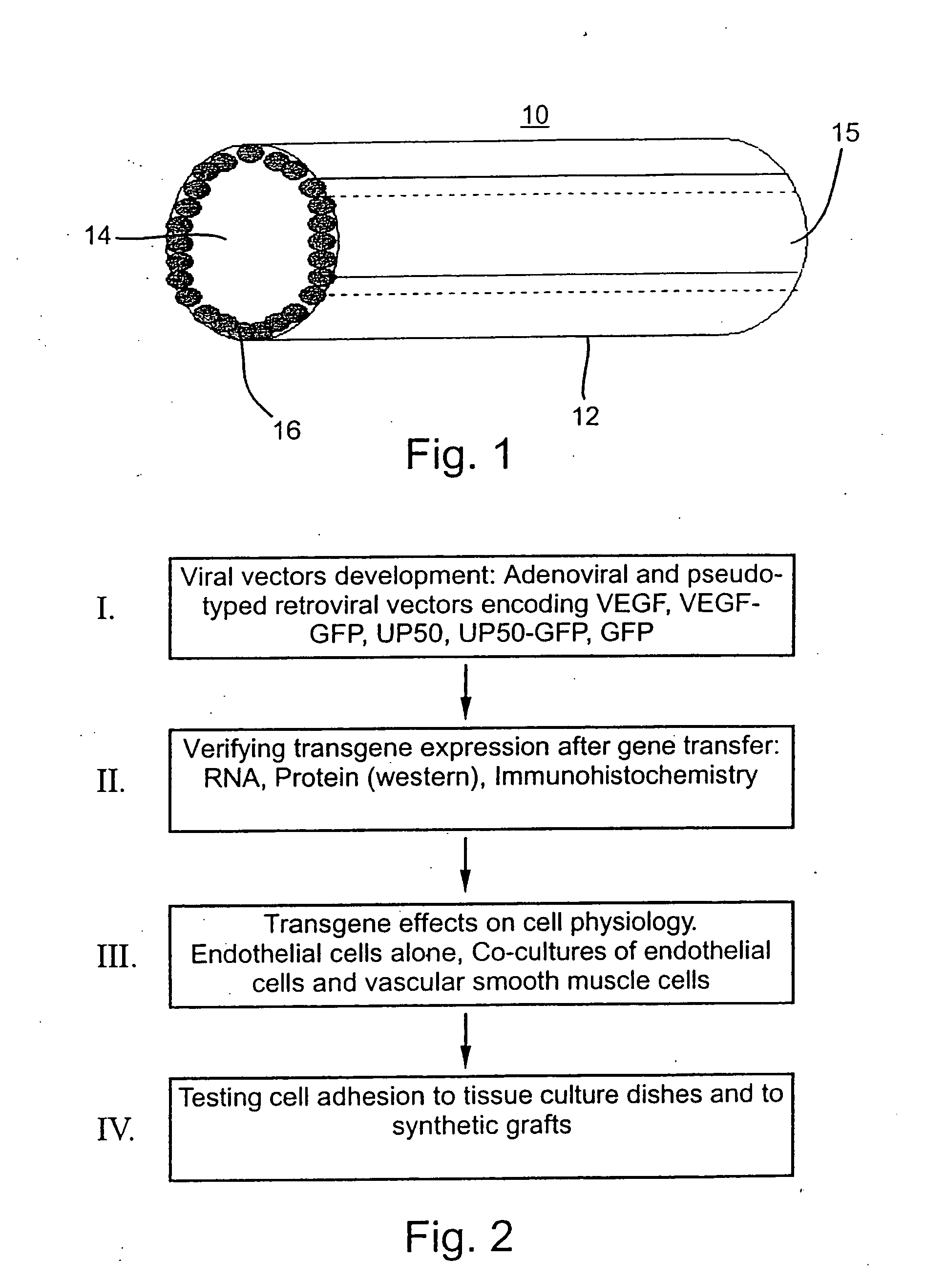 Artificial vascular grafts, their construction and use