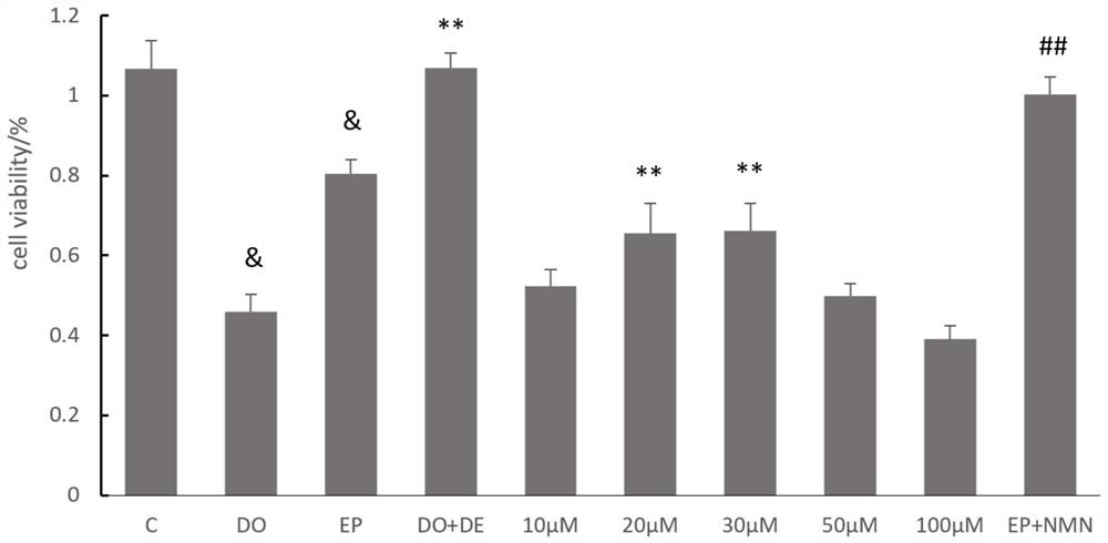 Nicotinamide mononucleotide and protective application thereof in myocardial injury of antitumor drug