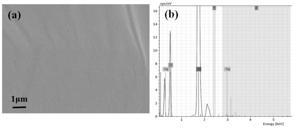 Composite flexible surface-enhanced Raman substrate based on silver nanoparticles and its preparation method