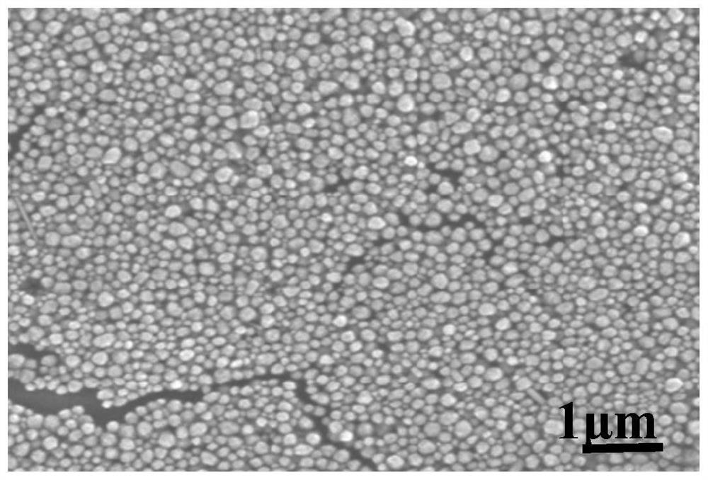 Composite flexible surface-enhanced Raman substrate based on silver nanoparticles and its preparation method