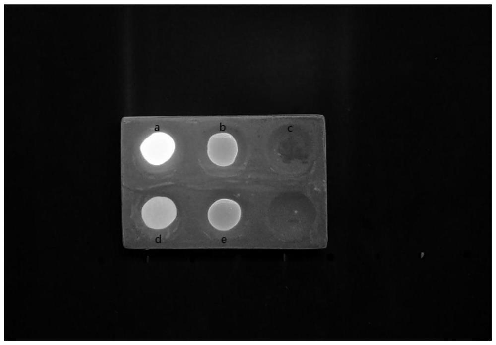 A kind of fluorescent substance based on amino acid deep eutectic solvent and preparation method thereof