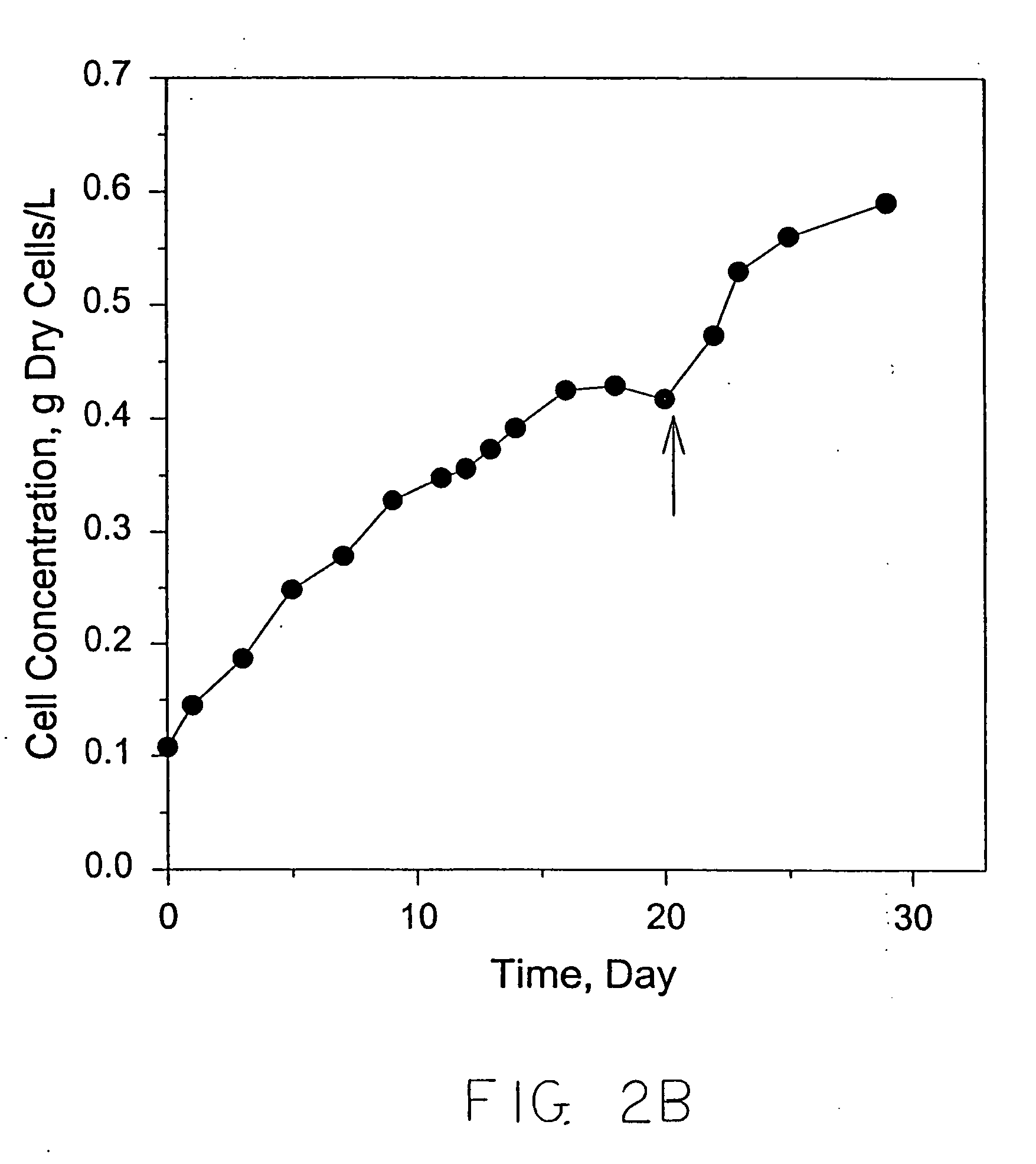 Method for using semi-synthetic gas vesicles as ultrasound contrast agent