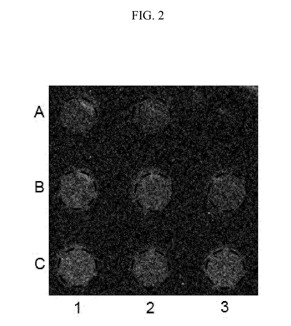 Systems and methods for microbial toxin detection