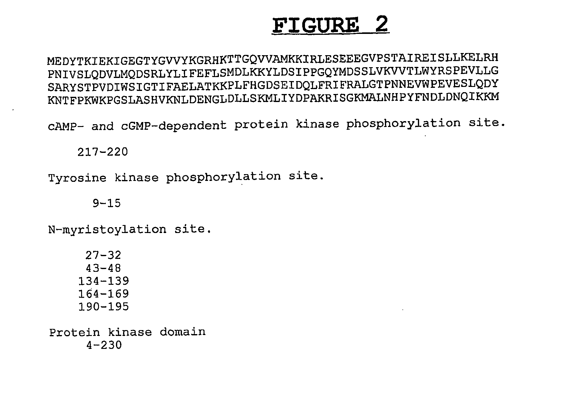 Composition and Methods for the Diagnosis and Treatment of Tumor